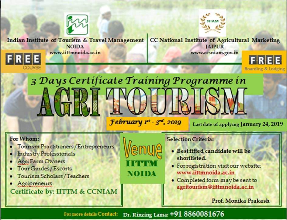 tourism certificate programs